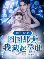 他的白月光回来以后