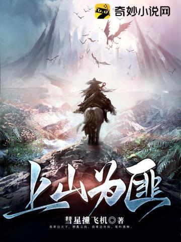 上山为匪TXT全集