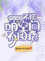 抄家空间藏银子