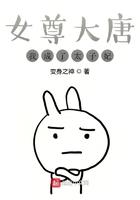 穿越为女尊太子