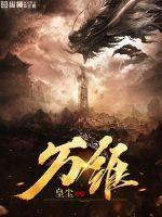 万维集团