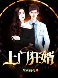 上门狂婿林玫