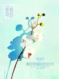 爱你是最好的时光全集