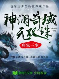 神澜奇域无双珠全集