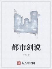 都市剑说 顶点