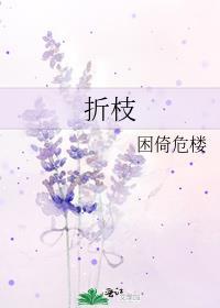 折枝三朵花七瓣是什么数字