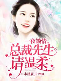 一夜锁情总裁先生请温柔最新版完整版木槿花开