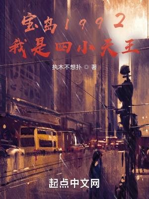 宝岛是啥