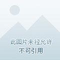 傲笑红尘是什么意思