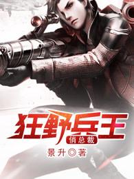 狂野兵王全文免费阅读