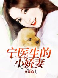 宁医生徐医生是什么