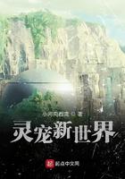 灵宠新大陆可以赚钱吗