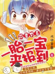 一胎二宝第一季