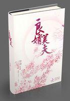 良婿美夫被删除章节