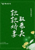 软软娇妻驭恶夫免费阅读无弹窗