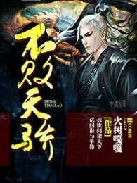 不败天骄昊天免费无弹窗阅读