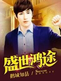 盛世鸿途电子书TXT