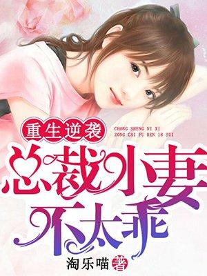 重生总裁的小萌妻全文免费阅读