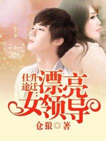 仕途升迁漂亮女领导TXT免费