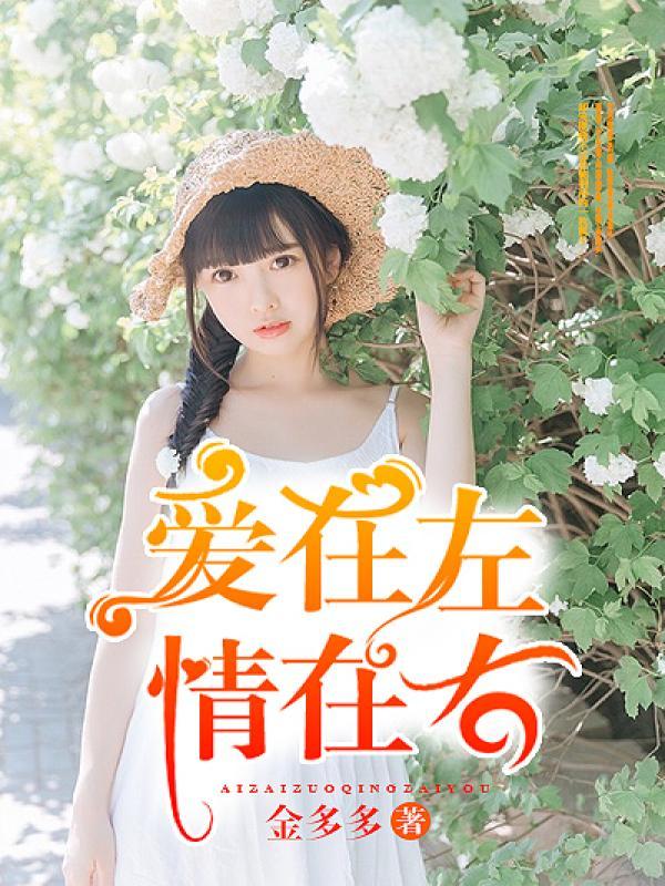 爱在左情在右分集剧情