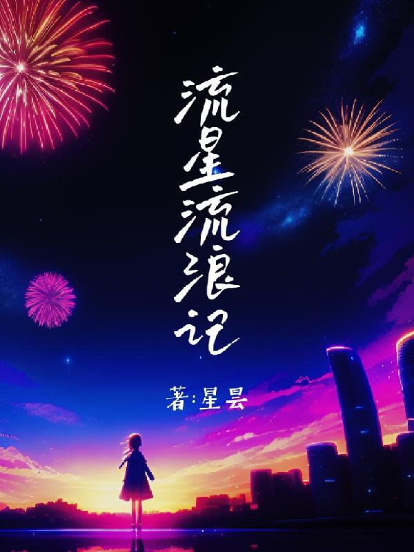 流浪记是什么意思