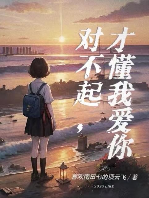 对不起我爱你下一句是什么