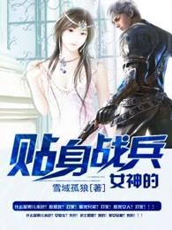 女神的贴身兵王叶仁