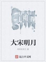 大宋明词电视剧