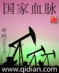 电视剧国家血脉结局