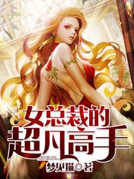 女总裁的超级高手顶点