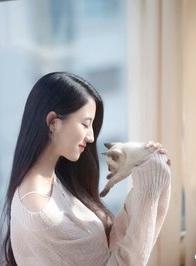 总裁的猎爱行动第二部