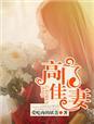 高门贵妻古典绿