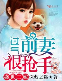 总裁的神秘妻