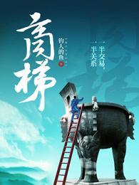 商梯张小驴