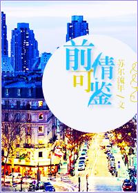前情是什么意思