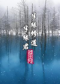 半缘修道半缘君电视剧