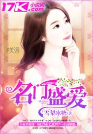 名门盛婚书籍