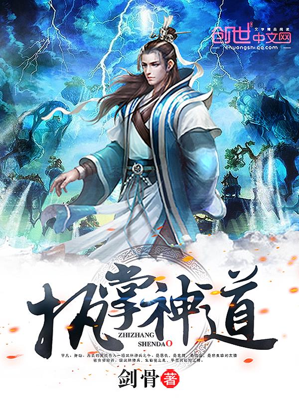 执掌神罚txt