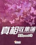 寻找真相的游戏