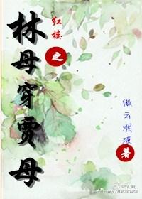 红楼之林母穿贾母TXT