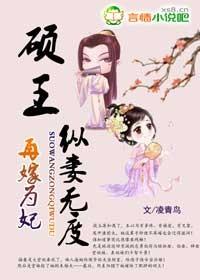 再嫁之贵妃