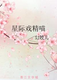 星际猫的