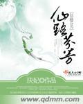 仙路何方在线阅读