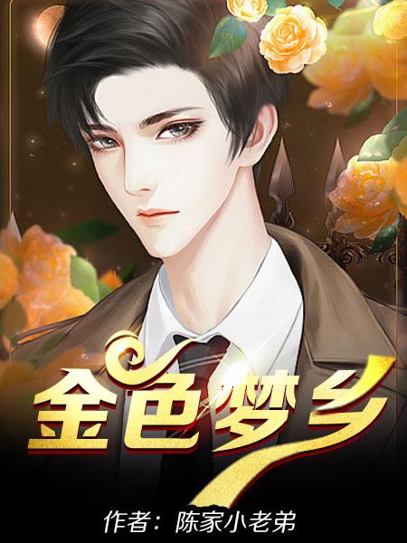 金色梦乡王浩免费阅读