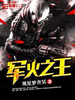 军火之王电影免费观看
