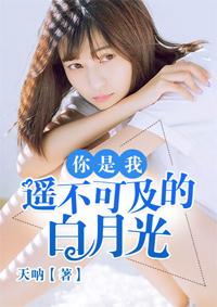 你是我遥不可及免费阅读