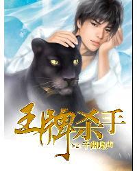 电视剧王牌杀手剧情介绍