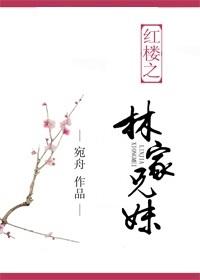 红楼之林家小弟攻