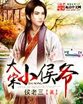 大宋小后妈免费阅读