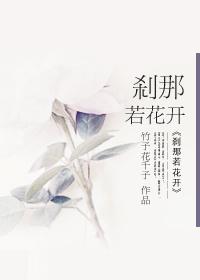不过花开一瞬博客 谷歌